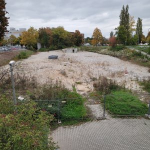 Stadtteil-Themen